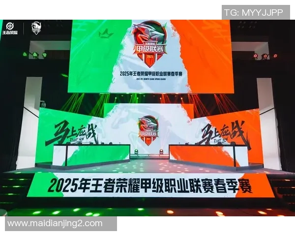 探索王者荣耀BLG战队的默契配合与战术策略揭秘 探索王者荣耀BLG战队的默契配合与战术策略揭秘