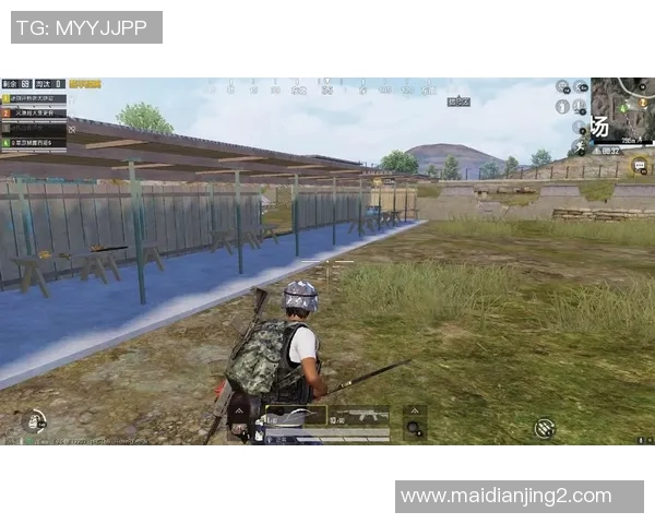 王娜分享和平精英职业生涯的成长与挑战之路 王娜分享和平精英职业生涯的成长与挑战之路